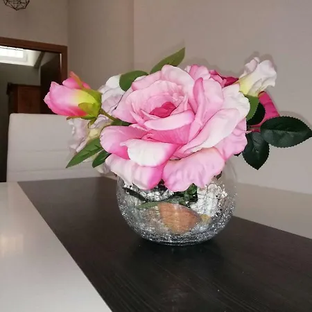 Appartement Punta Pula